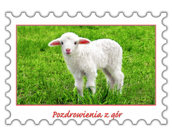 0122. Magnes Znaczek Pozdrowienia z gór - malutka owieczka